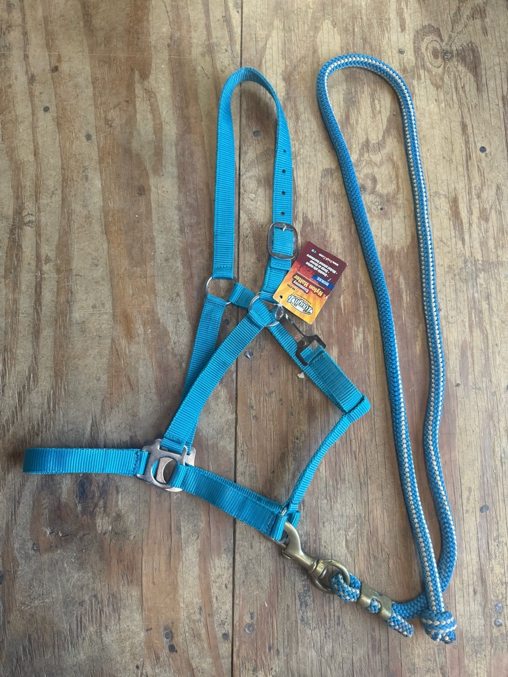 Tough 1 halter and leadrope